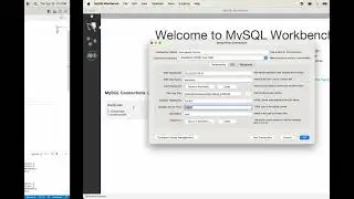 MySql Connect using Mysqlworkbench to a database that is on a server and inside a docker container