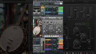 Banjo Virtual Instrument Plugin - Country | Bluegrass | Folk - (MAC/PC VST, VST3, AU) #vstplugins