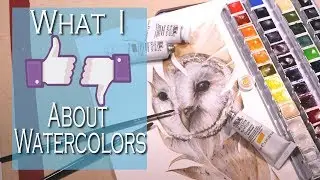 What I LOVE & DON'T LIKE About Watercolors // Owl In watercolor/gouache