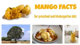 Learn about Mango for #preschool and #kindergarten #kids