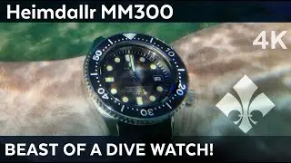 Is this the best dive watch under $300 ?