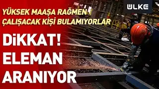 Yüksek Maaşa Rağmen Çalıştıracak Eleman Bulamıyorlar! İşte Eleman Açığı Olan O Sektörler