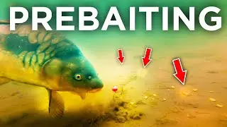 Carp Fishing's Biggest Edge... How To Prebait Effectively!