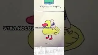Мемы и мемы 