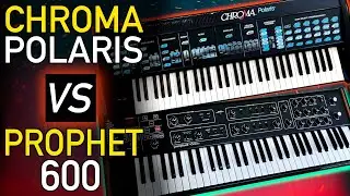 CHROMA POLARIS vs PROPHET 600: Live Shoot-out of these Analog Synth Titans!