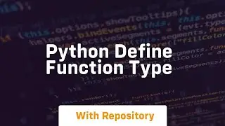 python define function type