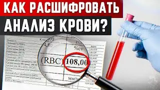 Общий анализ крови: учимся читать показатели! / Сколько эритроцитов должно быть в норме?