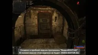 STALKER Золотой шар-помощь Волку #12