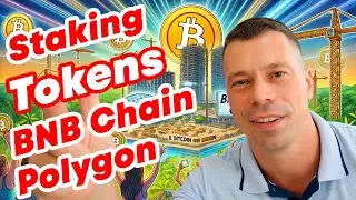 Дай инвесторам заработать! Как создать стейкинг токенов в BNB Smart Chain и Polygon сетях 