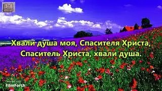 Моя душа стремиться в небеса. _гр. Виноградная Лоза. Ты веди меня (2001)_