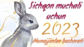 Sichqon muchali uchun 2023 yil Munajjimlar bashorati