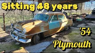 PARKED in 1975! My longest abandoned vehicle recovery '54 Plymouth Belvedere