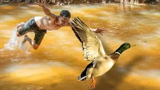 Catching Big Duck In The River & Cooking Ducks Salad Recipes In The Forest