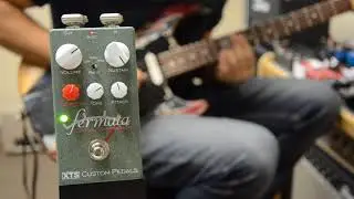 XTS Fermata Optical Compressor - Quick Look