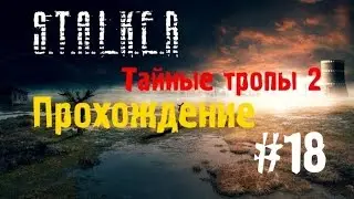 Сталкер Тайные Тропы 2 #18 [Клык и Клондайк артефактов]