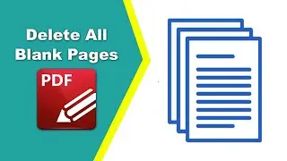 How to delete all the blank pages at once from a PDF file in PDF-XChange Editor