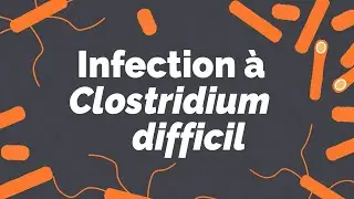 Infection à Clostridium difficile | Société gastro-intestinale