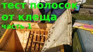 Тест полосок от клеща. Часть 1.