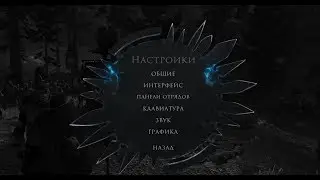 Total War: Arena — Настройки