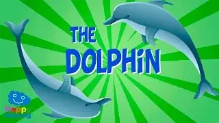 The Dolphin | Educational Video for Kids.