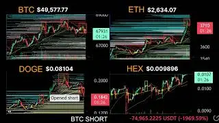 Crypto bleeds hard after Tametheark Redblocks Day 12 bear market HEX PUMP!!