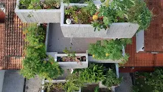 Planter Box House in #KualaLumpur​ #Malaysia​  designed by Formzero