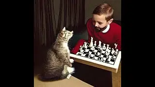 The foundational pawn endgames [starter chess lesson]