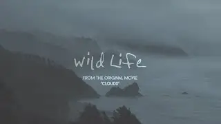 OneRepublic - Wild Life (Lyric Video)