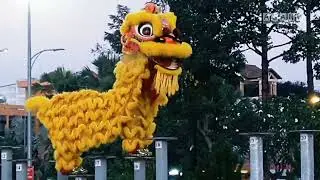 MÚA LÂN Giải Lân Sư Rồng TP Dĩ An Bình Dương 2023, Lsr Đền Đỗ Công Tường