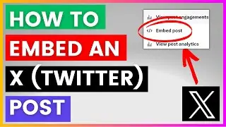 How To Embed A Tweet On A Wordpress Website? [in 2024] (Embed X posts on A Website)