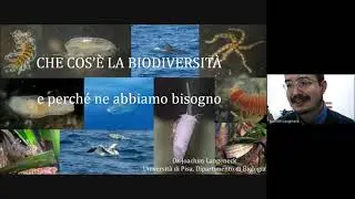 Cos'è la biodiversità e perché ne abbiamo bisogno