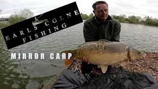 Carp Fishing UK. Earls Colne Fishing, part of Knight's Fishing