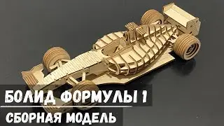 Болид Формулы 1 "Бауми" 1/16