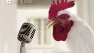 2017 Year Of The Rooster (Song By J.Geco) 🎤🐔