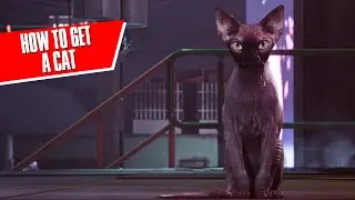 How to get yourself a Cat in Cyberpunk | Guide |