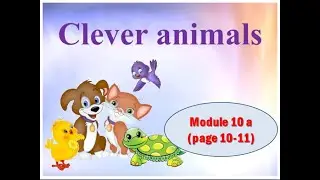 Clever animals. Умные животные. (УМК Spotlight 3)