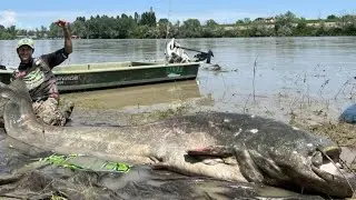 A New WORLD RECORD for The Largest WELS CATFISH Ever Caught, Set by Italian Angler May 31st 2023!