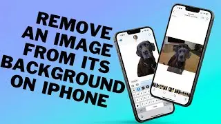 How to Remove an Image from its Background on iPhone on iOS 16