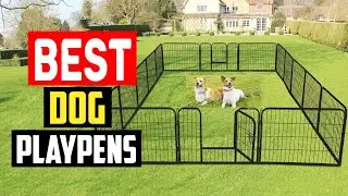 Top 5 Best Dog Playpens in 2023