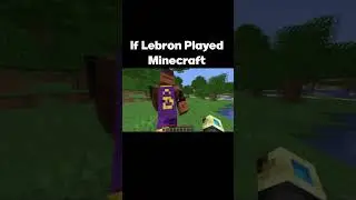 If Lebron James Played Minecraft #minecraft #minecraftmemes