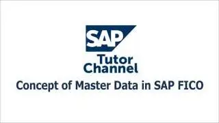 Concept of Master Data in SAP FICO