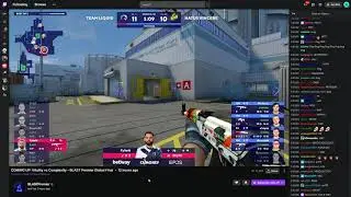 S1mple  insane "what the fuck?" awp flick vs Team Liquid (with twitch chat)