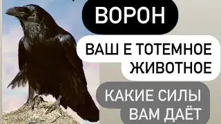 ВОРОН- ваше тотемное животное# какую силу он вам дает#