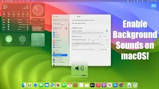 How to Enable Background Sounds on macOS