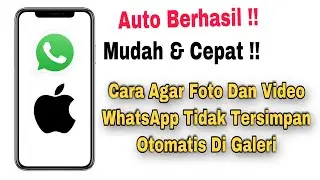 Cara Agar Foto Dan Video WhatsApp Tidak Tersimpan Di Galeri iPhone