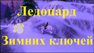 Получение Ледопарда Зимних ключей [Winterspring Frostsaber]. WoW 3.3.5