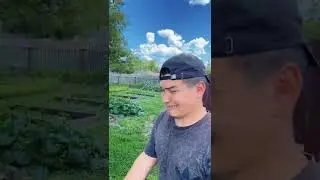 БАТЯ И ЖАРКАЯ ПОГОДА 😂