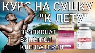 КУРС НА СУШКУ К ЛЕТУ. СОЖГИ ЖИР! ПРОПИОНАТ + ВИНСТРОЛ