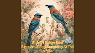 Birds Of Nature Beat (Real Birds Recorded at Camp)