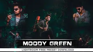 Moody Green - Lightroom Mobile Presets Dng | Moody Green Preset | Dark Green Filter | Lr Free Preset